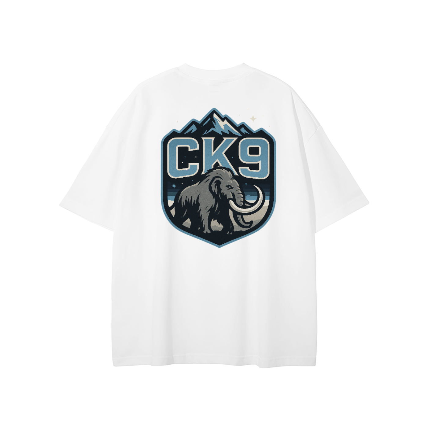 CK9 SIGNATURE TEE - UTAH - 2nd Image